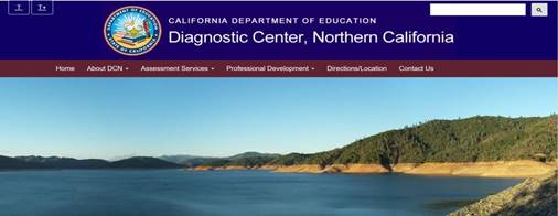 Diagnostic Center North Website Home Page.